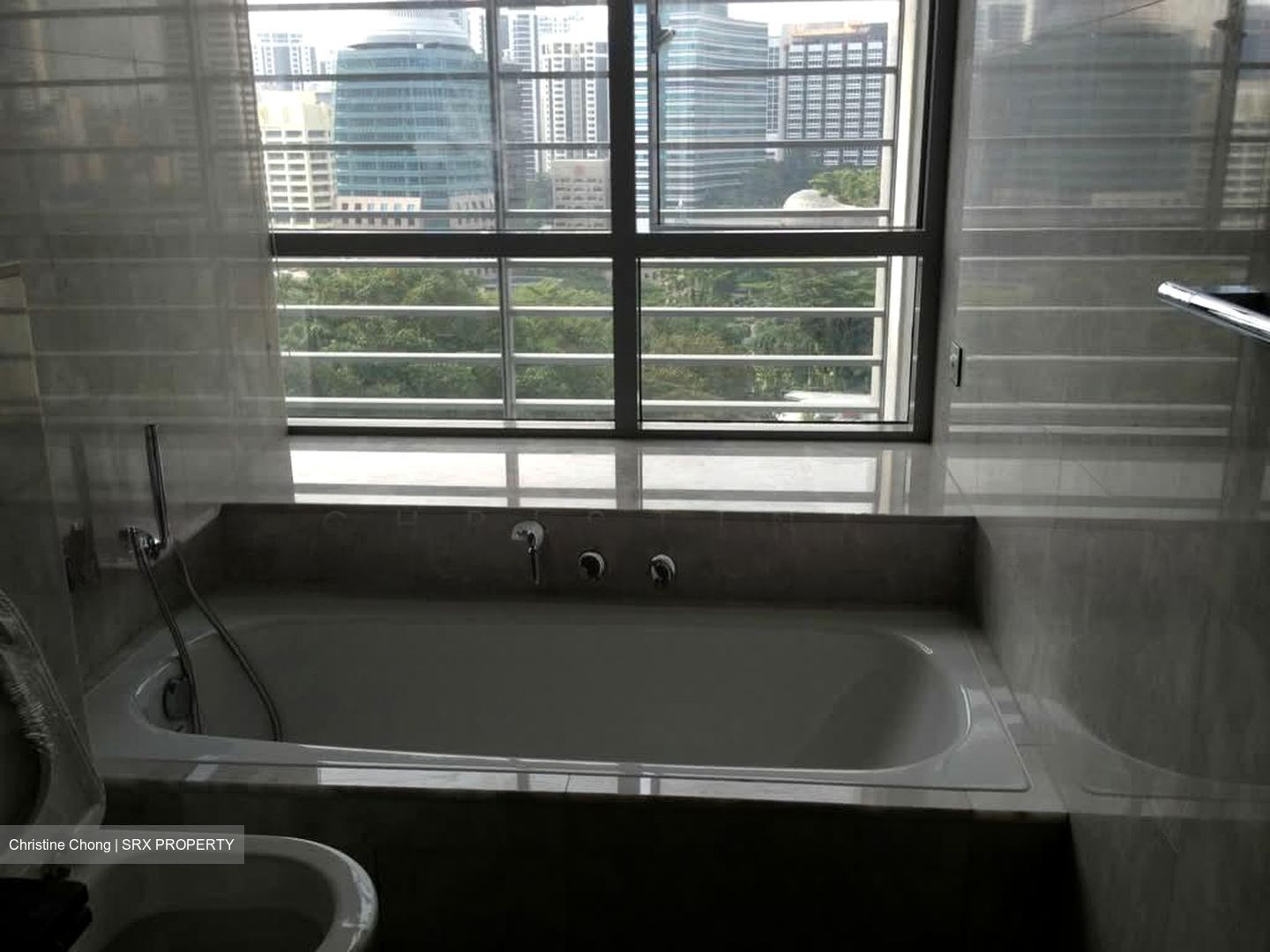 Paterson Suites (D9), Condominium #577192071